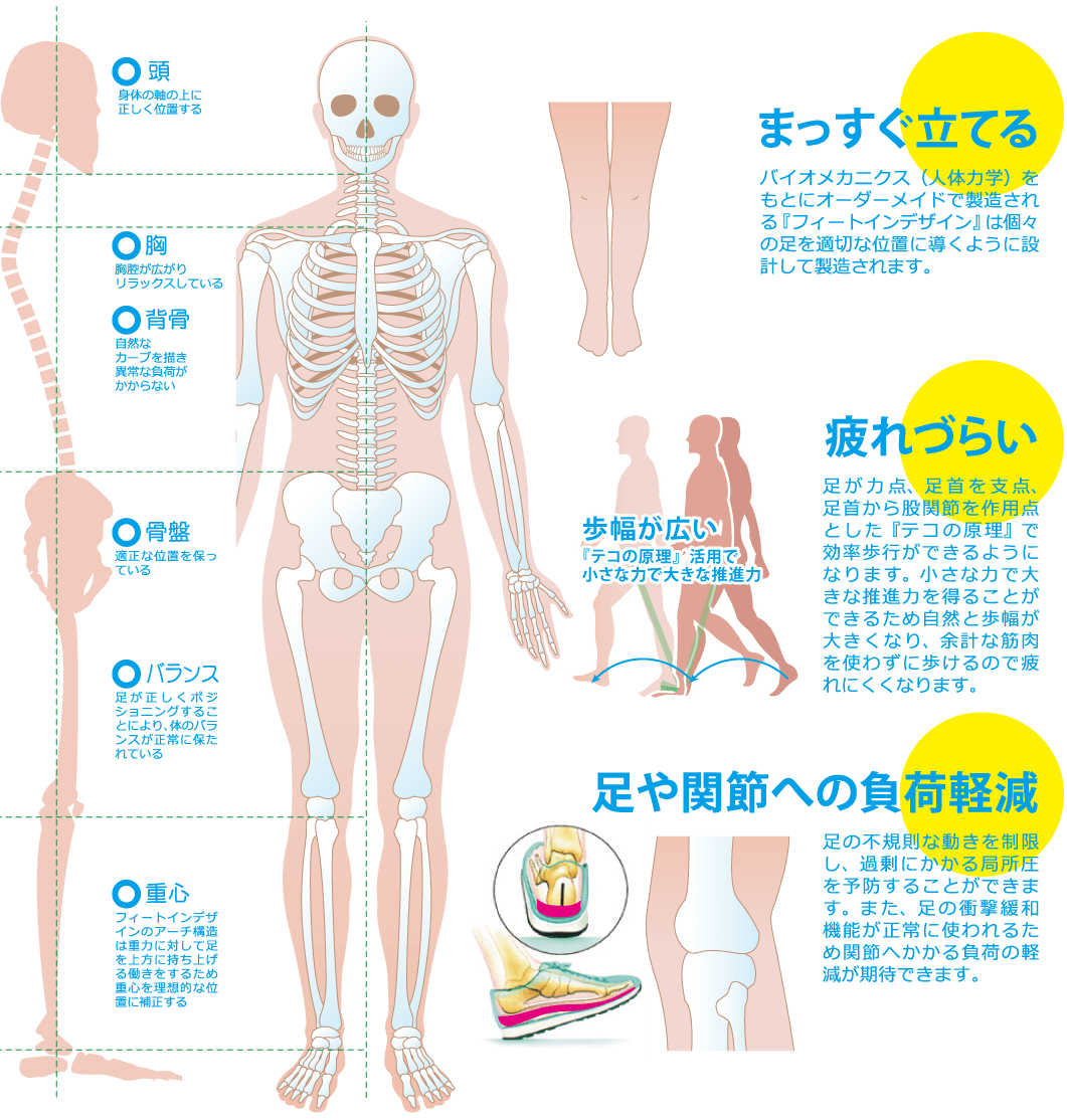 まっすぐ立てる　疲れづらい　足や関節への負担軽減