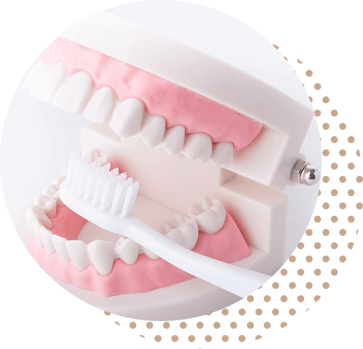 予防のための歯科医療