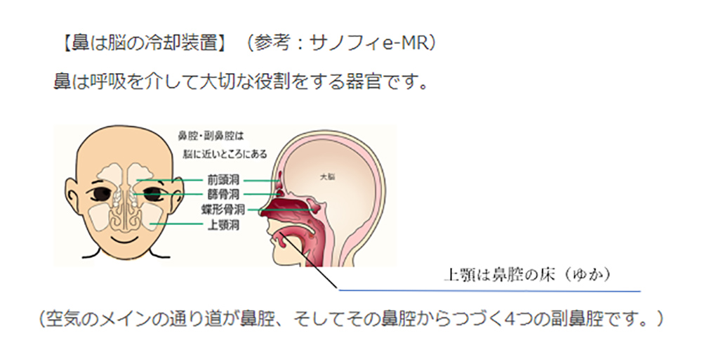 早期治療の重要性＝鼻呼吸の重要性